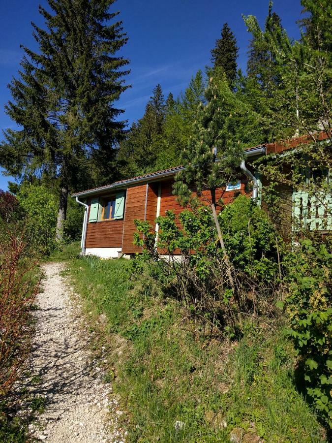 Chalet Daria Prémanon Exterior foto